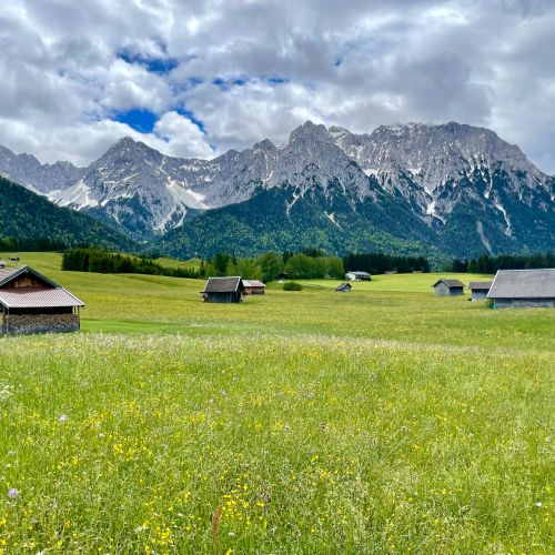 KarwendelblickuberdieBuckelwiesen