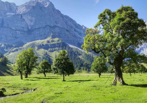 Großer Ahornboden im Karwendel, Engalm